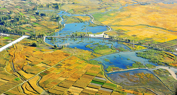 湿地全貌.jpg