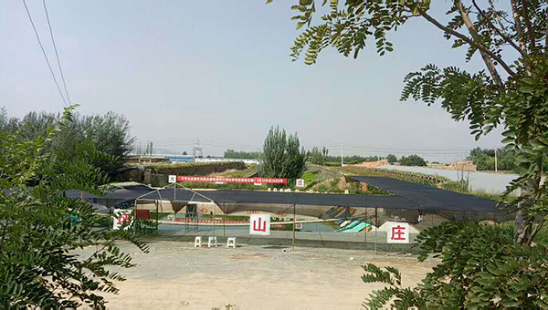 网红桥.jpg