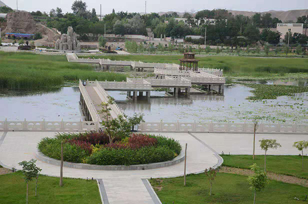 公园鸟瞰图.jpg