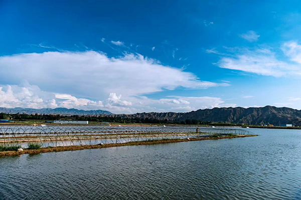 鱼塘2.jpg