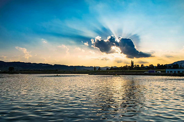 鱼塘3.jpg