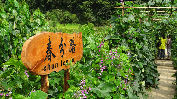 游在花果间.jpg