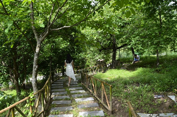 漫步.jpg