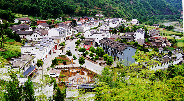 龙头村风光.jpg