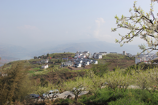 官田新村远景.jpg