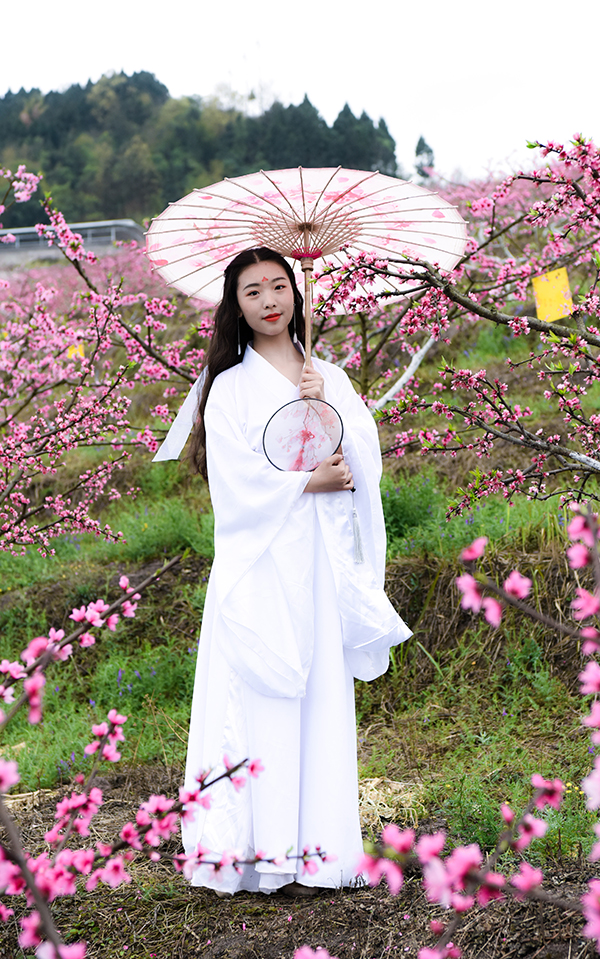 桃花仙子 (1).jpg