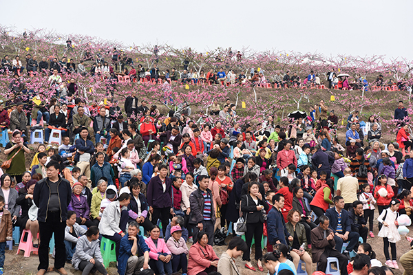 现场观众 (4).jpg