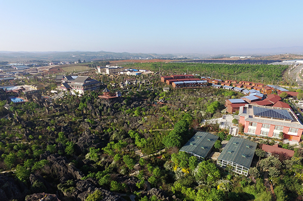 01-杏林大观园全景图.jpg