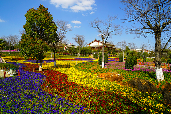 四季花海.jpg