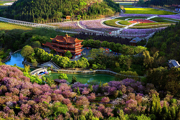 22《花苁中的奇香楼》.jpg