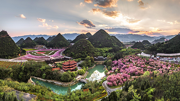 全景图.jpg