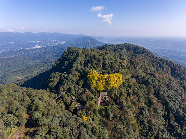 蒙顶山核心区图.jpg