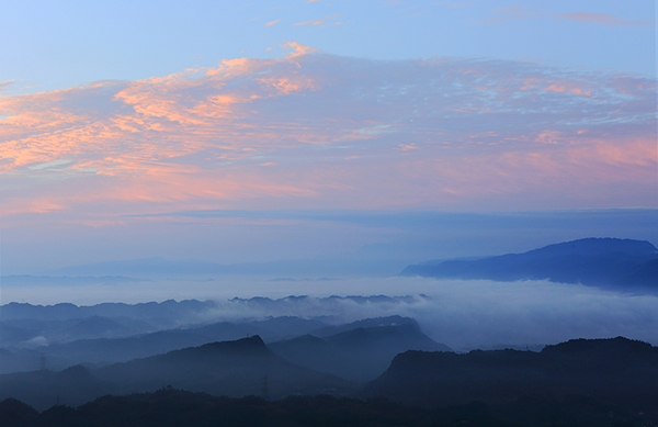 蒙顶山云雾.jpg