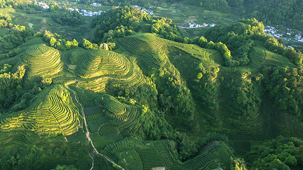 牛碾坪大地指纹.jpg