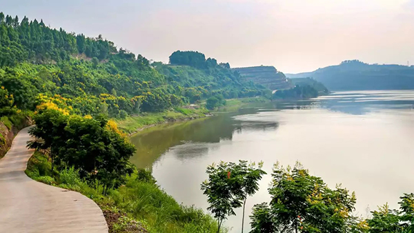沱江新画廊--水边风景.webp.jpg