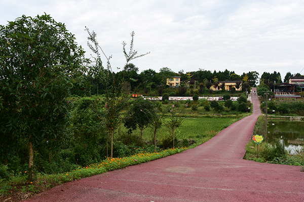 稻香鱼村1.jpg