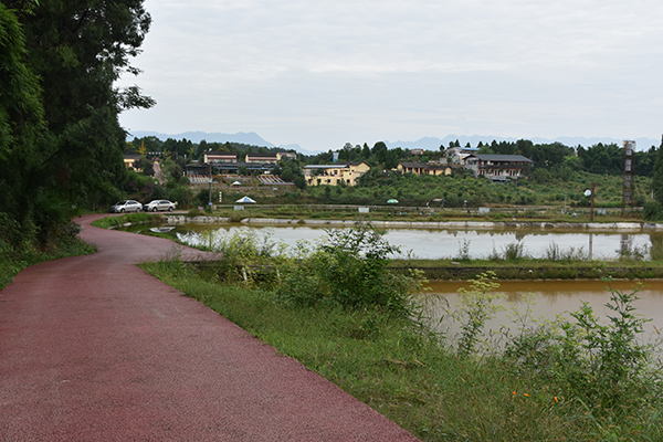 稻香鱼村3.jpg