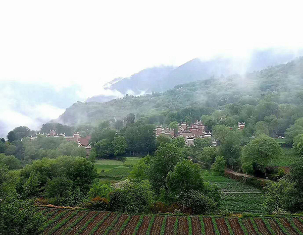 田间小景.jpg