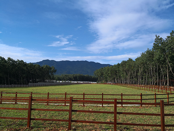 生态牧场与马场跑道，给游客不同的运动体验.jpg