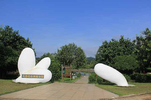 中华茉莉园 茉莉花品种展示园.jpg