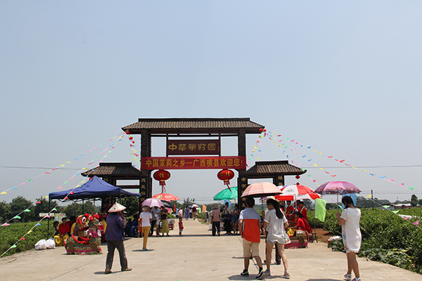 中华茉莉园大门.jpg