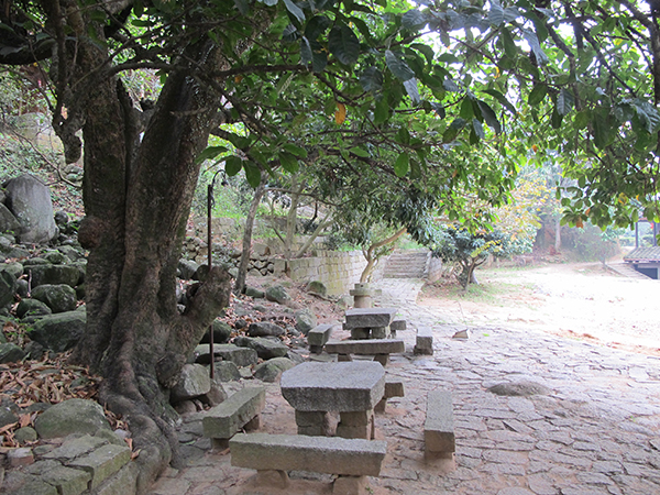 茶场小原景.jpg