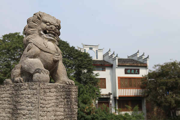 大圩6.jpg