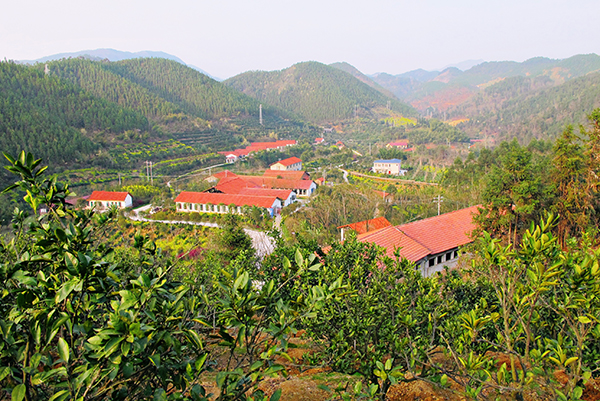 001公司园区全景2.jpg