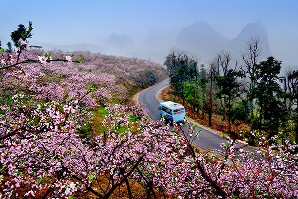 71.＜桃园满山岗＞作者；秦卫东.jpg