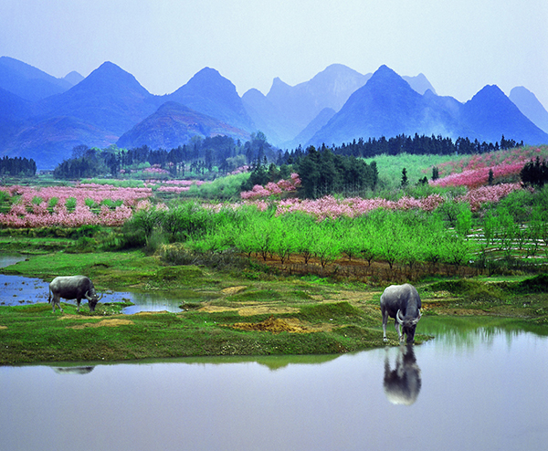 海洋的春天  ——尧乐.jpg