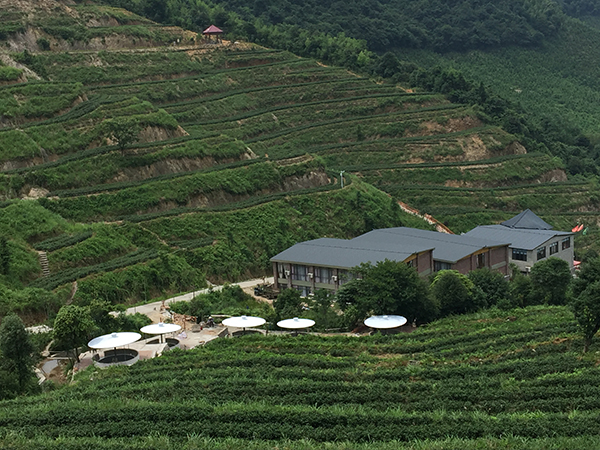 皇后山养生茶汤泉.jpg