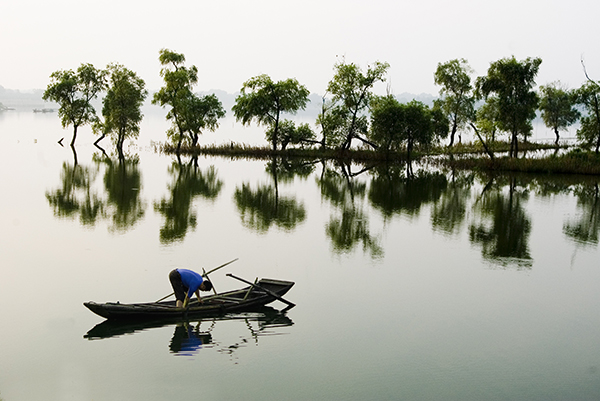 3 《湿地》.jpg