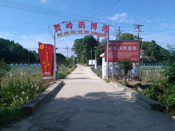 大门.jpg
