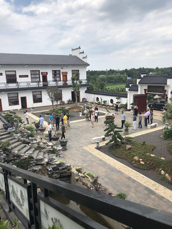 休闲庭院.jpg