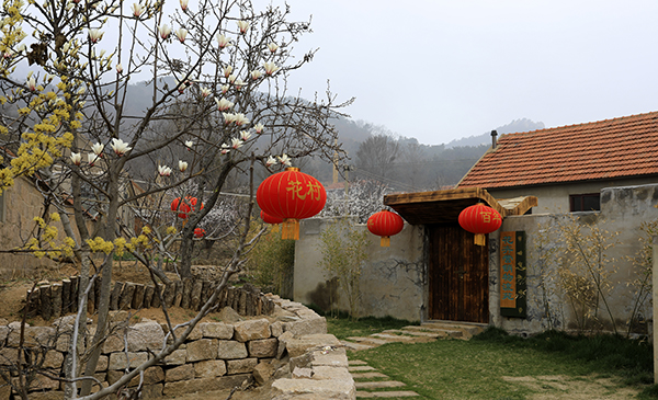 花卉物流中心.jpg