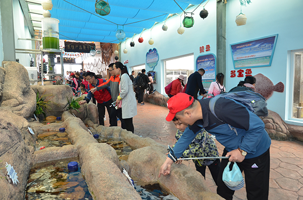 体验馆海洋生物互动.jpg