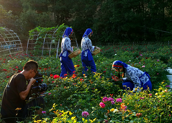 花田玫瑰花园.jpg