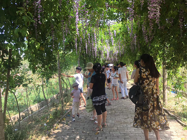 观光旅游2.jpg