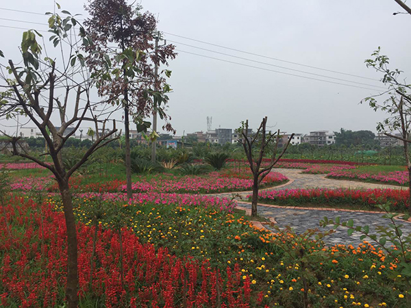 观光旅游3.jpg