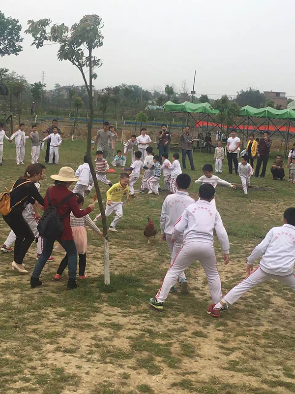 农家乐抓鸡1.jpg