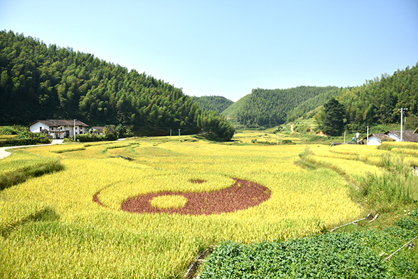 崇义客家梯田八卦图.jpg