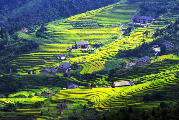 上堡梯田1.jpg