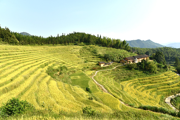 上堡梯田2.jpg