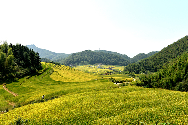 上堡梯田3.jpg