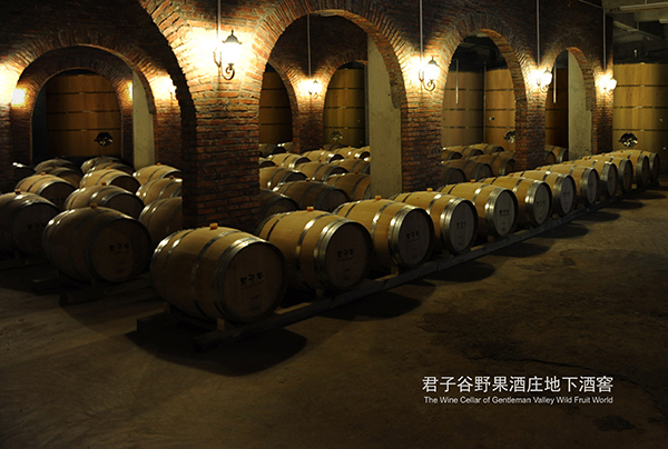 君子谷野果酒庄地下酒窖.jpg