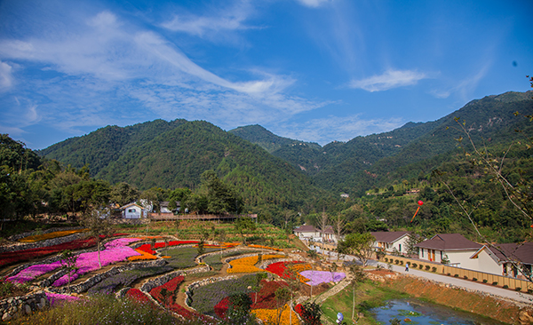 A哆四季花海.jpg