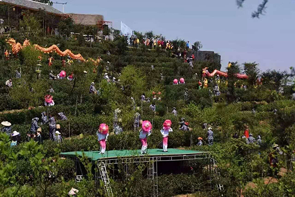 采茶节庆活动.jpg