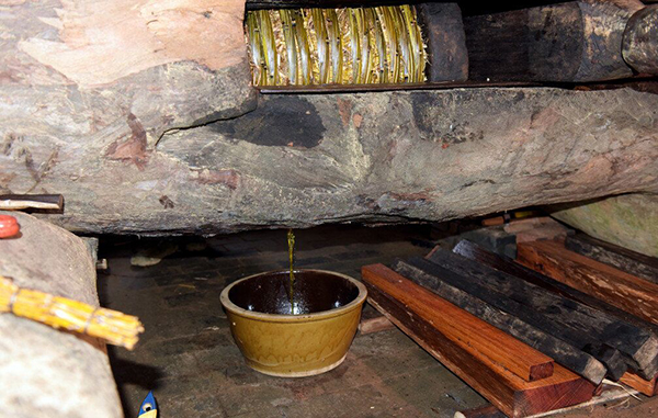 虔心小镇山茶油3.jpg