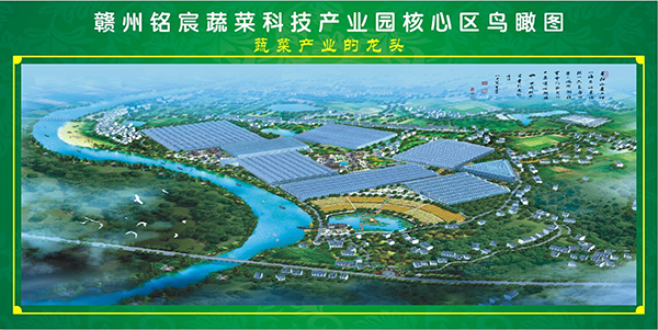 铭宸蔬菜效果图.jpg