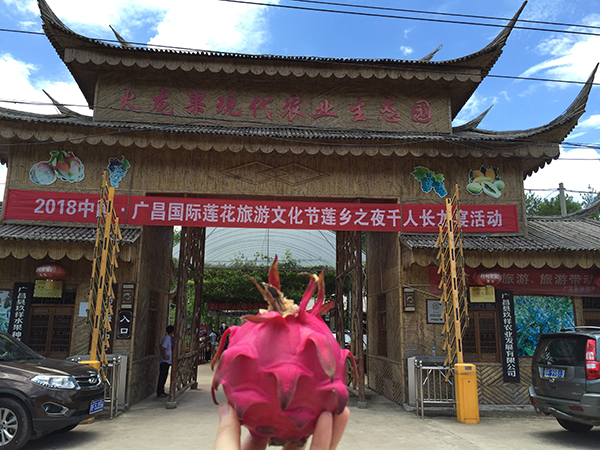 基地大门.jpg
